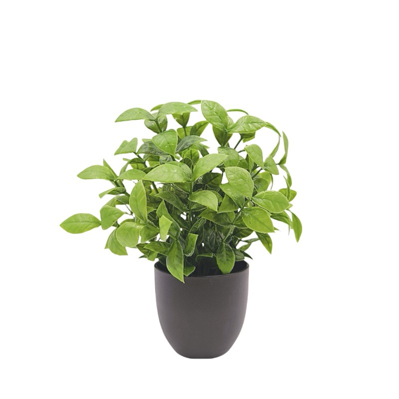Simulation Green Plant Bonsai  - огляд і ціна Home Office Layout